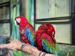 -海合安武汉极地海洋公园