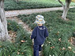 -杭州城北体育公园