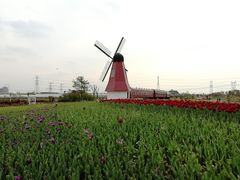 -菊园百果园