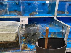 -盒马鲜生(莱蒙都会店)