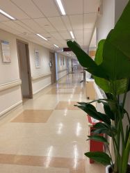 -杭州贝瑞斯美华妇儿医院·早孕·产检·儿科