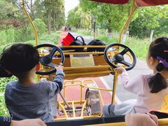 -上海长兴岛郊野公园