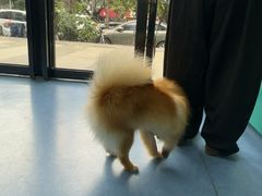 -博特宠物医院24h犬猫全科.骨科·异宠