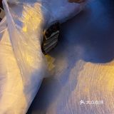 超好吃的糕！！！！
