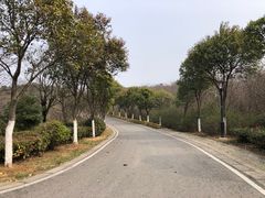 -羊山湖公园
