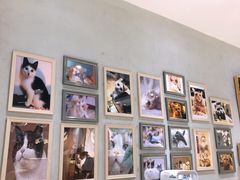 -藏猫猫咖啡主题馆(中央大道店)