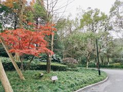 -青城道汤池