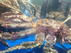 -盒马鲜生(悦峰店)
