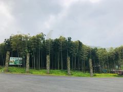 -天下银坑