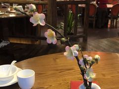 大堂-金苑酒家·客家菜·广东老字号(万象店)