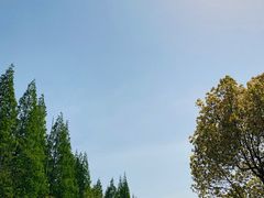 -东平国家森林公园