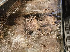 -海鲜e族(马王堆店)