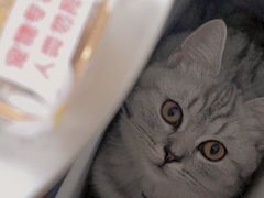 -爸爸糖手工吐司(苏州环球188店)