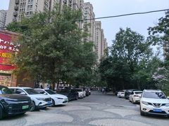 -绿地·中山里