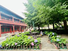 -北京石刻艺术博物馆(五塔寺)