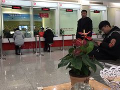 -招商银行(七宝支行)