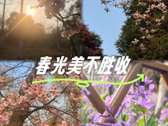 -白塘生态植物园