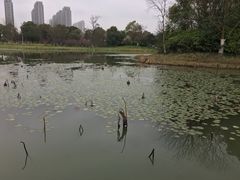 -艾溪湖湿地公园