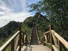 -大岭沟猕猴桃谷风景区