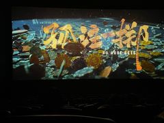 -SFC上影百联影城(大上海4DX店)