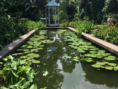 -新加坡总统府
