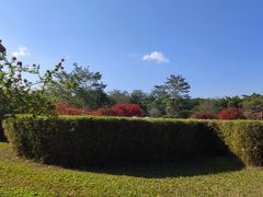 -中国科学院西双版纳热带植物园