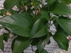 -晓林火锅(安定门店)