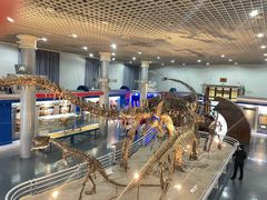 -国家自然博物馆