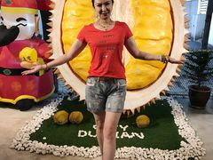 -都念榴莲·城市榴莲