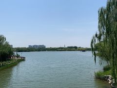 -大兴滨河森林公园
