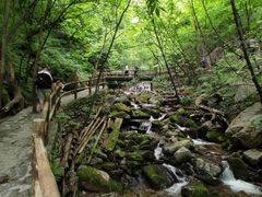 -青峰峡国家森林公园