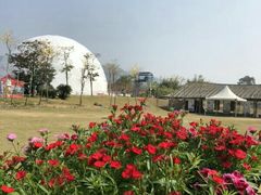 -天适樱花悠乐园