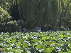 -莲池书院博物馆