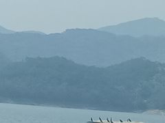 -洲晓鲜·舟山海鲜大排档(朱家尖风景区店)