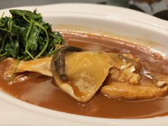 -沈灶河豚宴·河豚融合餐厅(汉中路店)