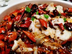 -开海·红岛海鲜虾水饺(石老人店)