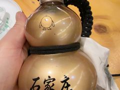 -成老灶火锅鸡(平山店)