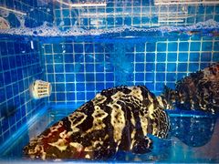 -鑫鸿达·海鲜闽菜热炒小馆(中山路店)