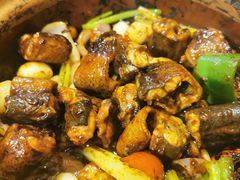 -天宝食坊·啫啫煲大排档(西华路店)