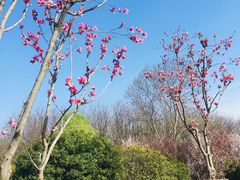 -钟山体育运动公园