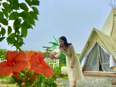 -安德鲁户外烧烤帐篷营地(马泉营店)