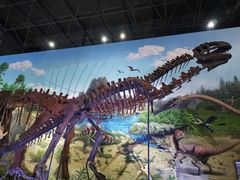 -中国西峡恐龙遗迹园
