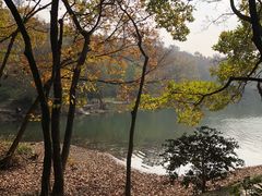 -紫霞湖公园