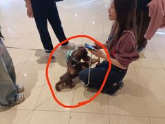 -CityOn熙地港西安购物中心