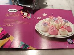 -哈根达斯(武汉天地店)