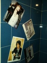 -SALON V
