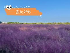-嘉北郊野公园