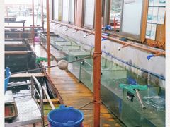-蓝湾碧波·老字号·疍家非遗海上餐厅