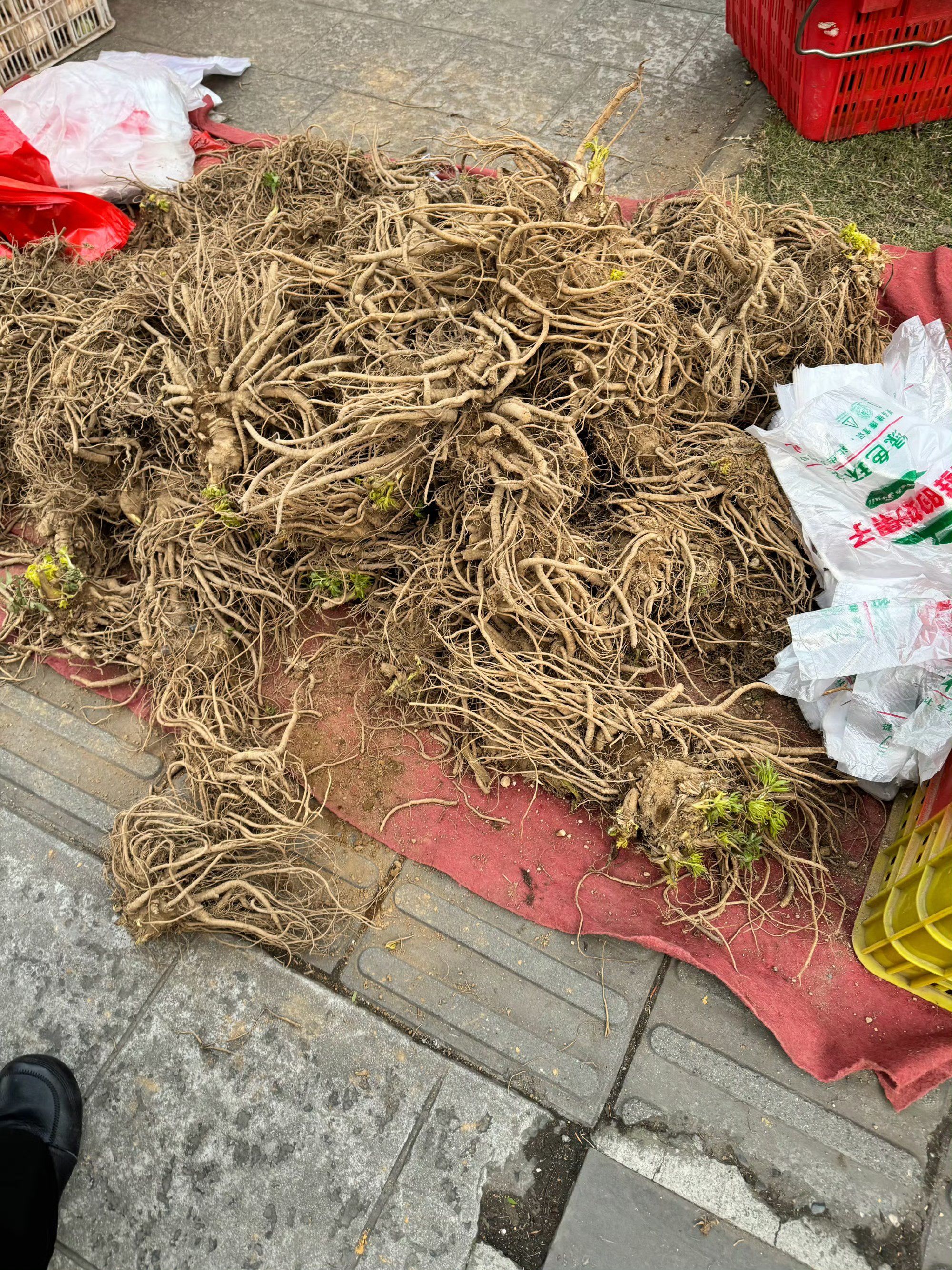 这是什么树根,成都街头看到大爷的菜摊