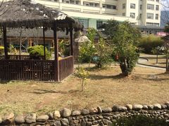 -朝伟清真铜瓢牛肉馆(三十年老·店)